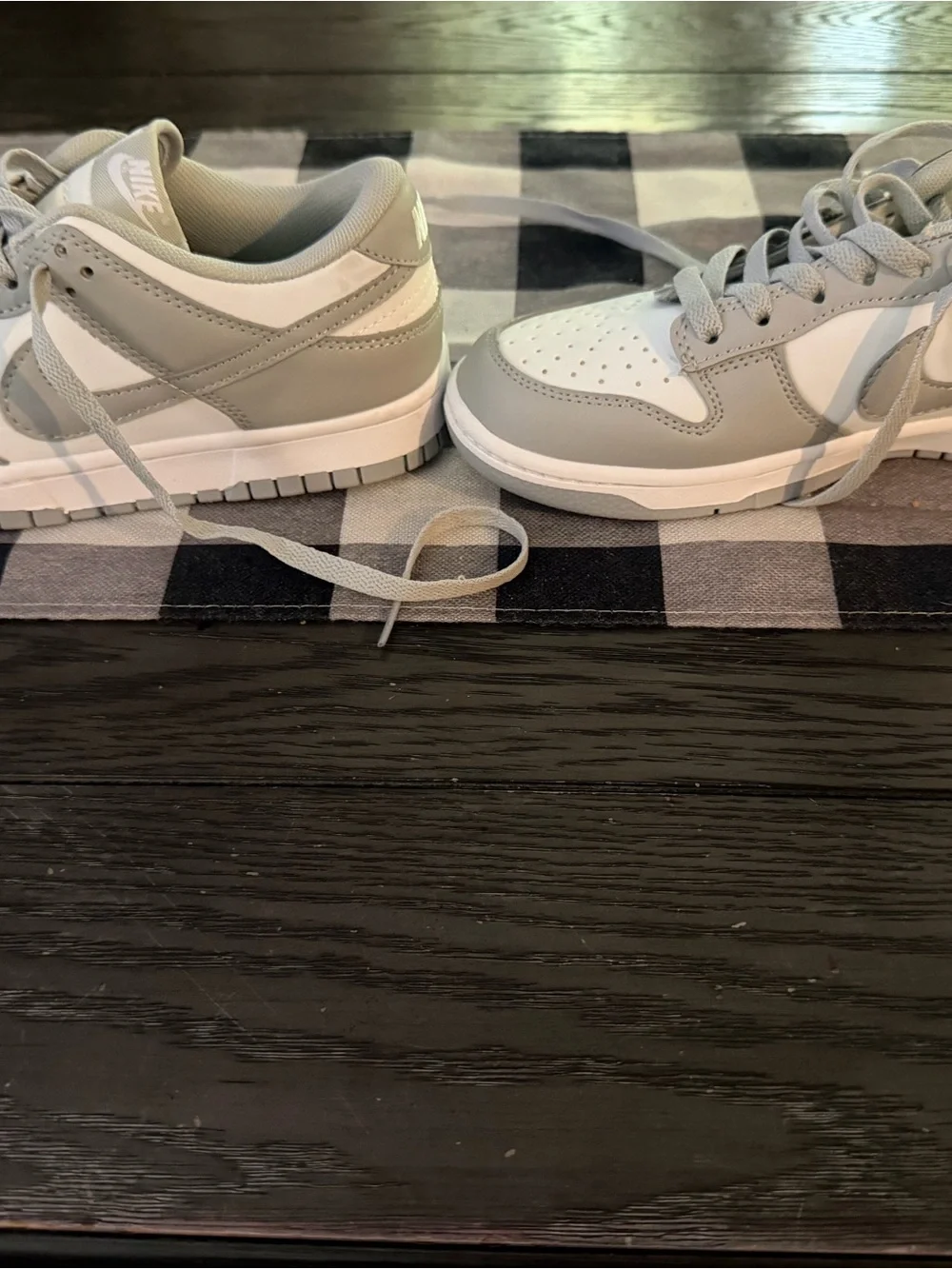 Women’s Dunk Low sneakers brand new without tags or box size 8.